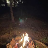 Camp Dawg Woodz ico