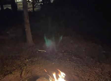 Camp Dawg Woodz