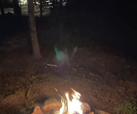 Camp Dawg Woodz