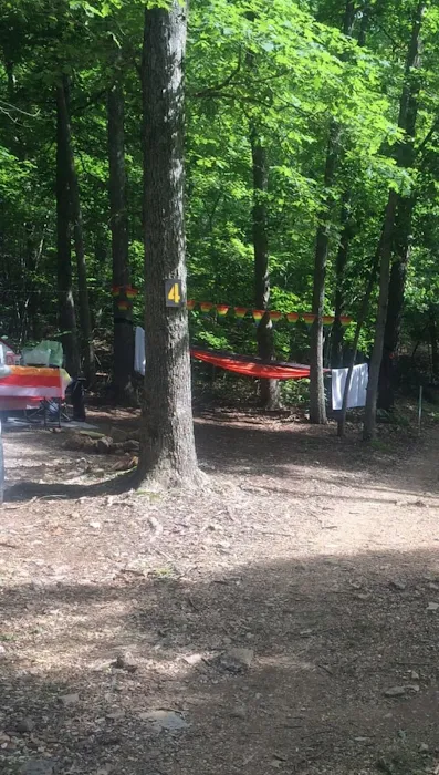 Camp Dawg Woodz Picture 7