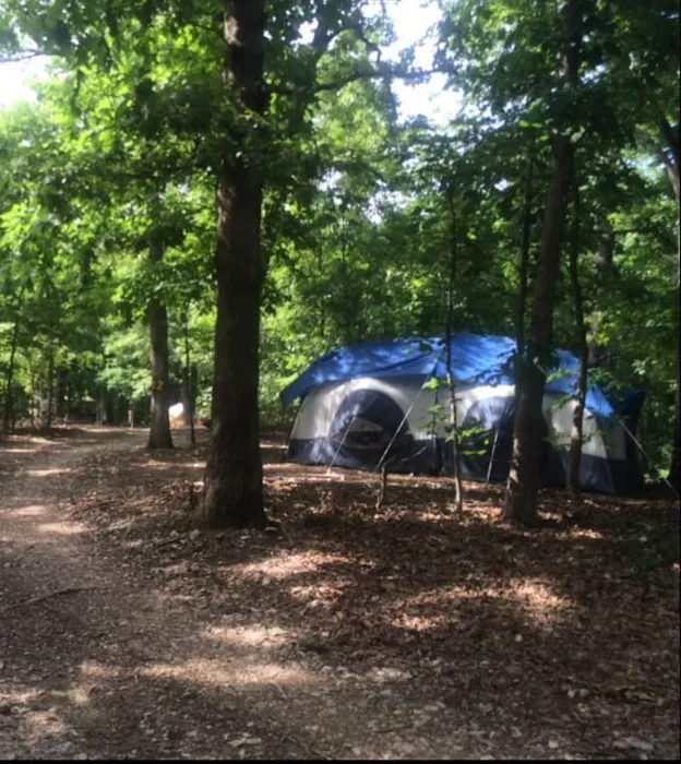 Camp Dawg Woodz Picture 8