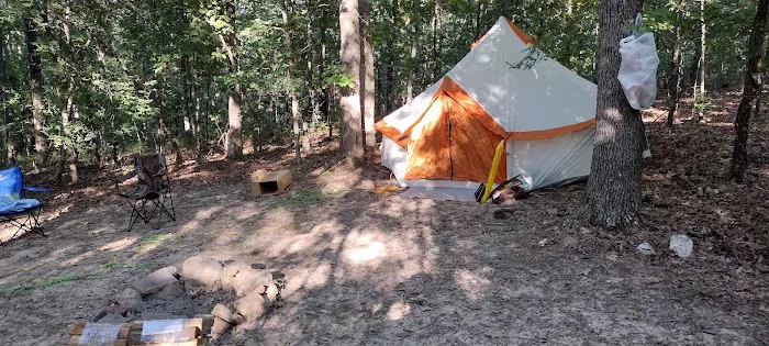 Camp Dawgwoodz Picture 9