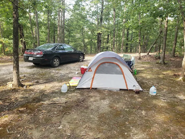 Camp Dawgwoodz Picture 1