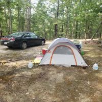 Camp Dawgwoodz ico