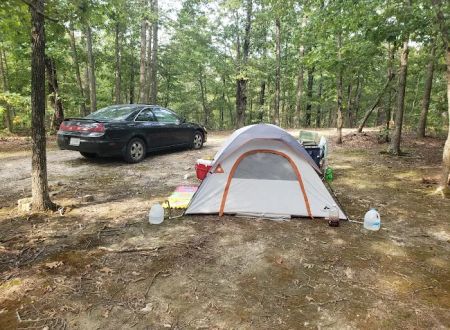 Camp Dawgwoodz