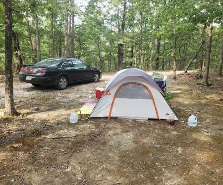 Camp Dawgwoodz