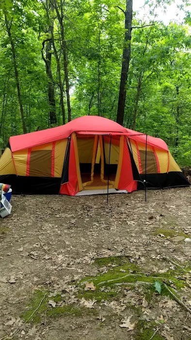 Camp Dawgwoodz Picture 8