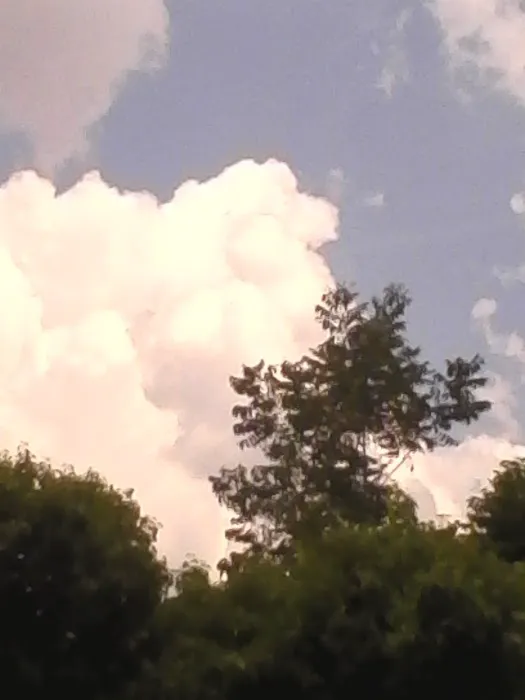 Hillside Rv Park Picture 7