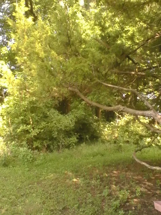Hillside Rv Park Picture 8