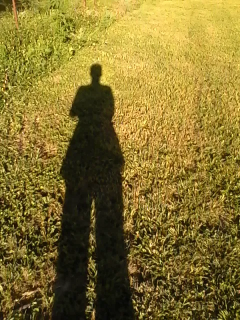 Hillside Rv Park Picture 4