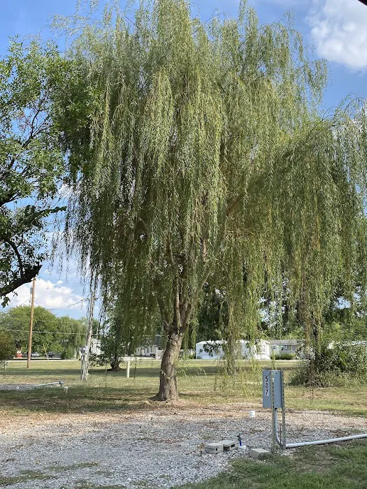 Lonestar RV Park Picture 4