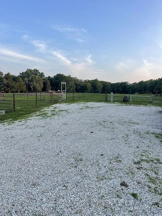 Ozark crossing Rv park and cabin Picture 6