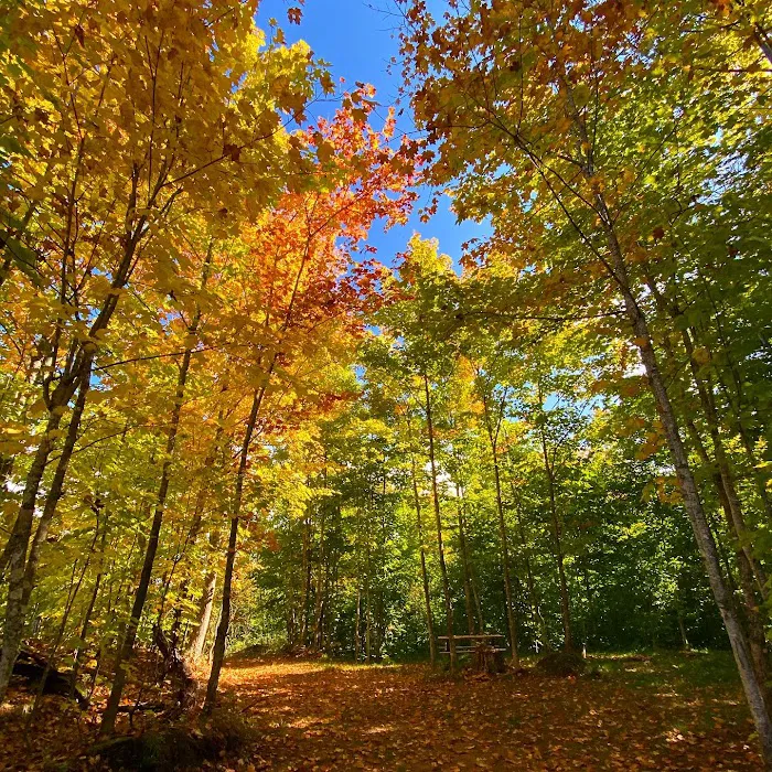 Fort Superior Campground Picture 9