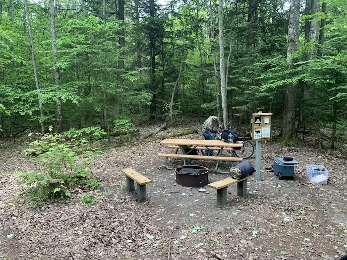 Hardwood Campsite On Grand Island Picture 5