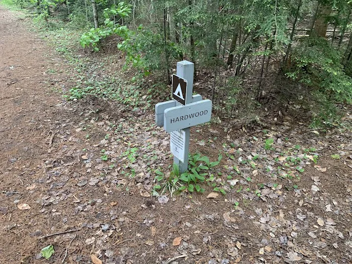 Hardwood Campsite On Grand Island Picture 6
