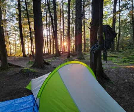 Gamefence Campsite