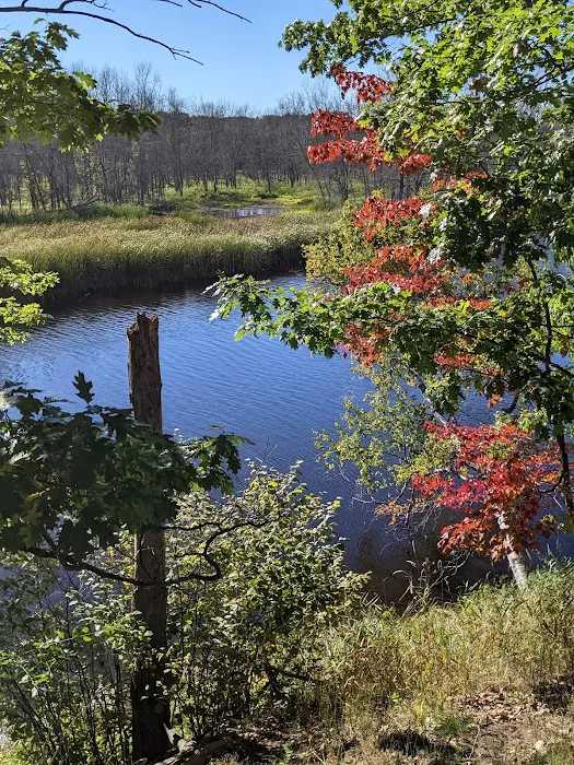 Pioneer Trail Park Picture 10