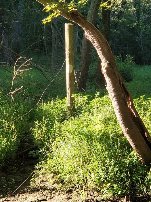 Cedar Valley County Park Picture 3