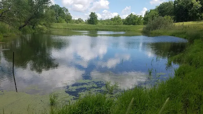 Cedar Valley Grove Campground Picture 1