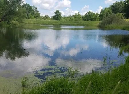 Cedar Valley Grove Campground