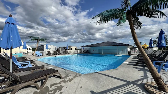 Coconuts RV Resort Picture 2