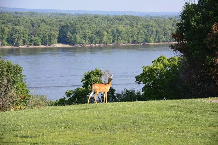 Spring Lake Campground Picture 6
