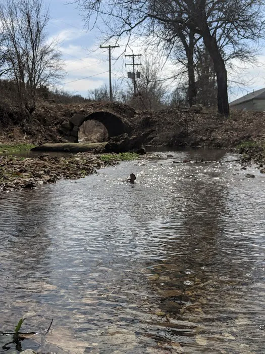 Spring Branch Park Picture 9