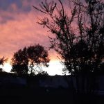 Doolittle Mobile Home Park