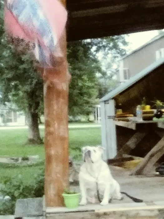Doolittle Mobile Home Park Picture 7