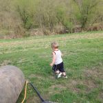 Miners Creek Hideout