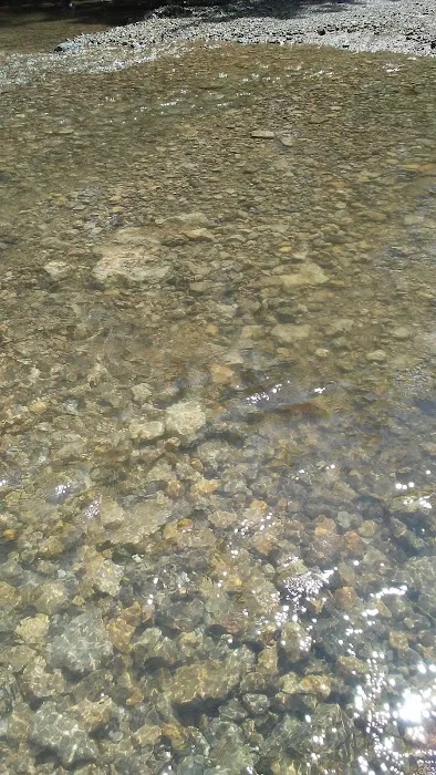 Miners Creek Hideout Picture 5