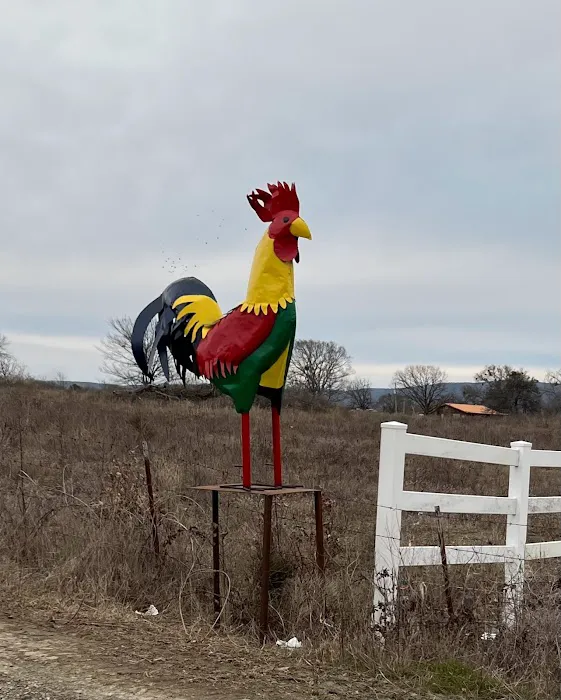 The Ugly Rooster RV Park & Cabins, LLC. Picture 10