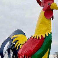 The Ugly Rooster RV Park & Cabins, LLC. ico