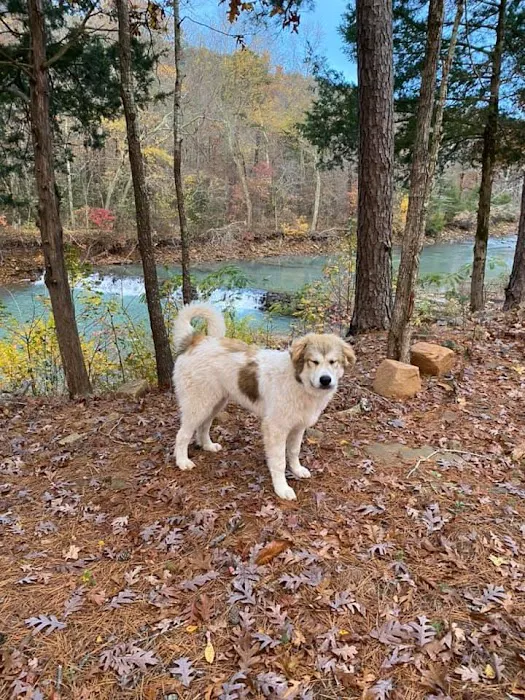 Cucumber Creek RV Park Picture 9