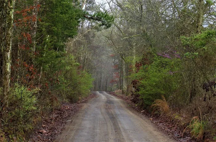 Boondockers Landing Picture 5