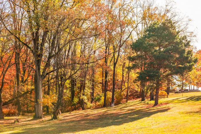 Valley View Campground Picture 6