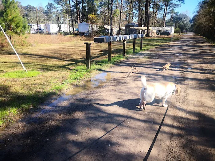 Tammany Mobile Home Park Picture 6