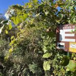 KVR Campsite E