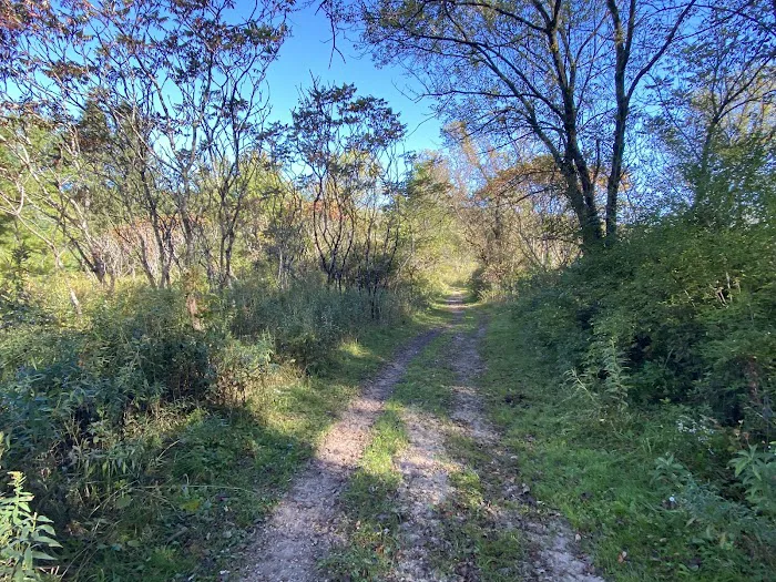 KVR Campsite E Picture 10