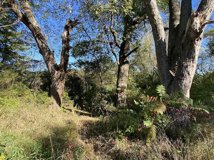 KVR Campsite E Picture 6