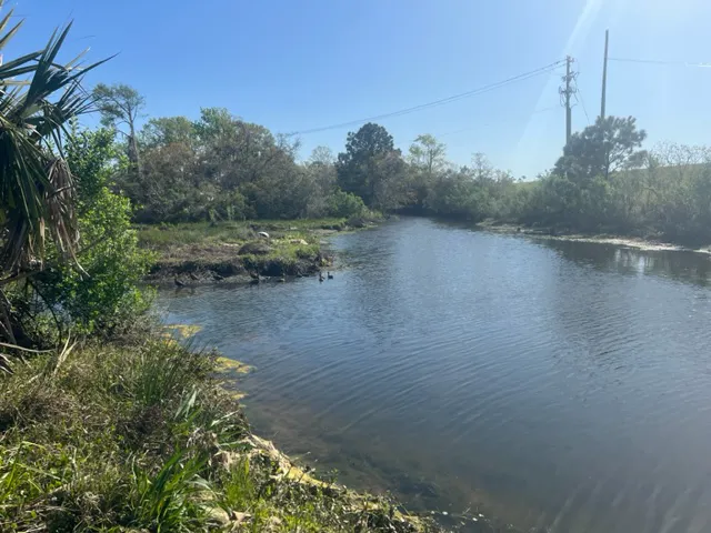 Salt Bayou Kampground Picture 7