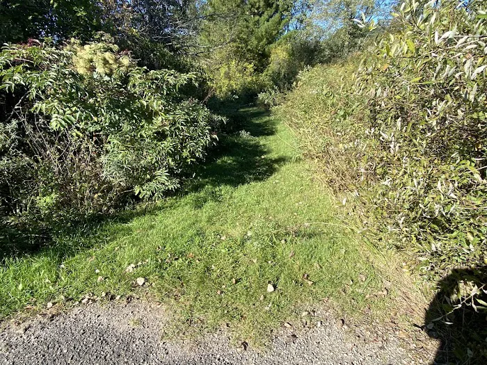 KVR Campsite C Picture 6