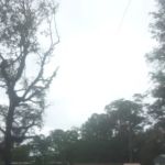 Shady Pines Mobile Home Park
