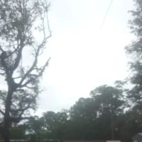 Shady Pines Mobile Home Park ico