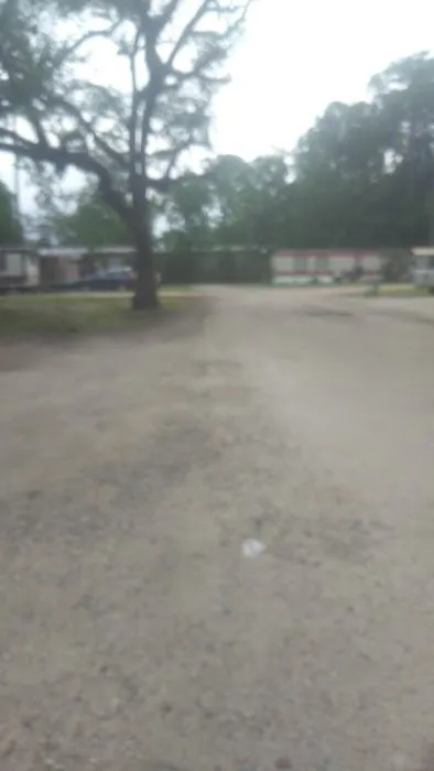 Shady Pines Mobile Home Park Picture 5