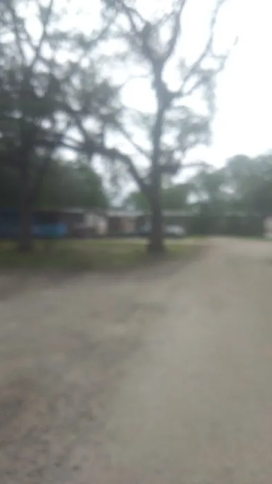 Shady Pines Mobile Home Park Picture 2