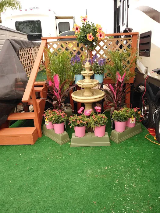 Travel World RV Park Picture 5
