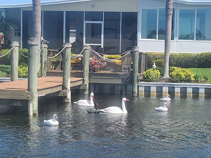 Lake Seminole Resort Picture 4