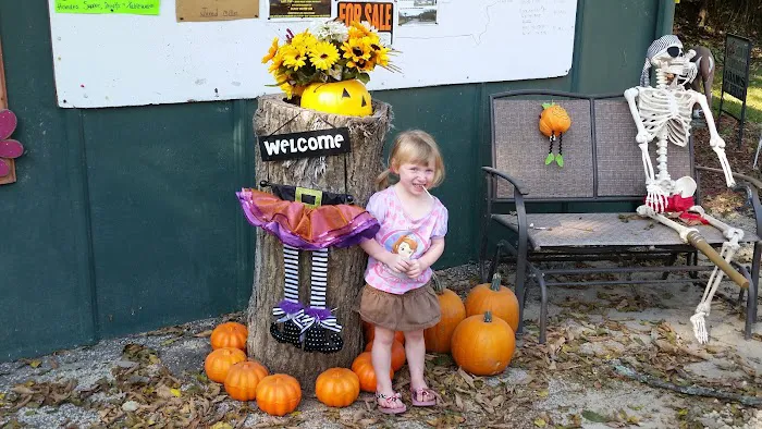 Paradise Valley Campground Picture 1