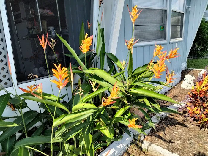 Cardinal Court Mobile Home Park Picture 1